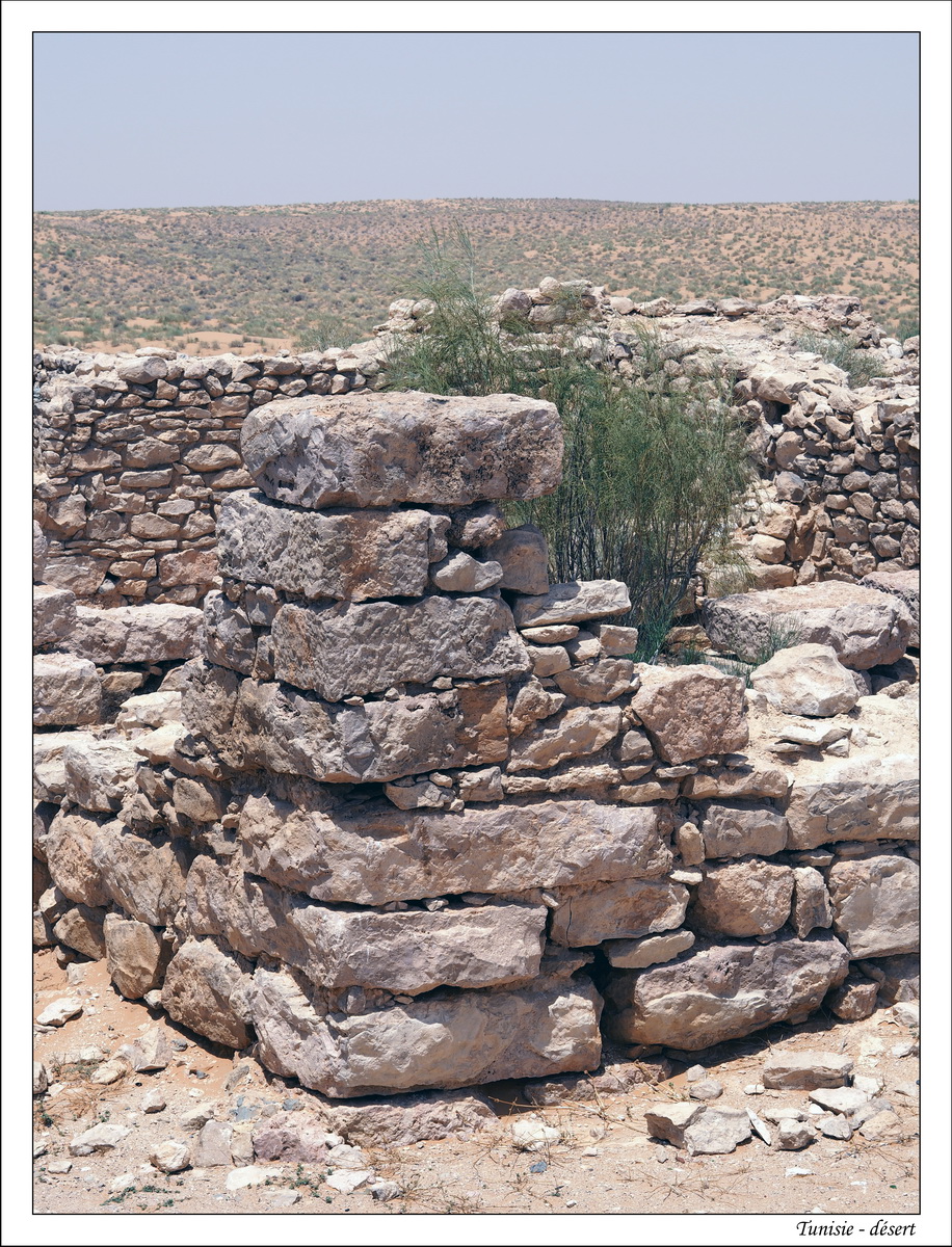 2018 - 05 - Djerba - 11